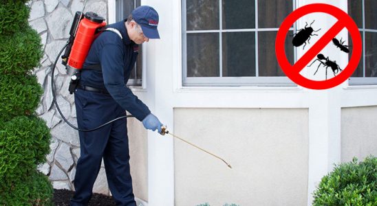 Kozan Fare İlaçlama böcek ilaçlama ve haşere kontrolü — ilaclama-tr.com